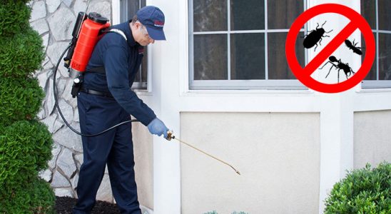 Atakent Akrep İlaçlama böcek ilaçlama ve haşere kontrolü — ilaclama-tr.com